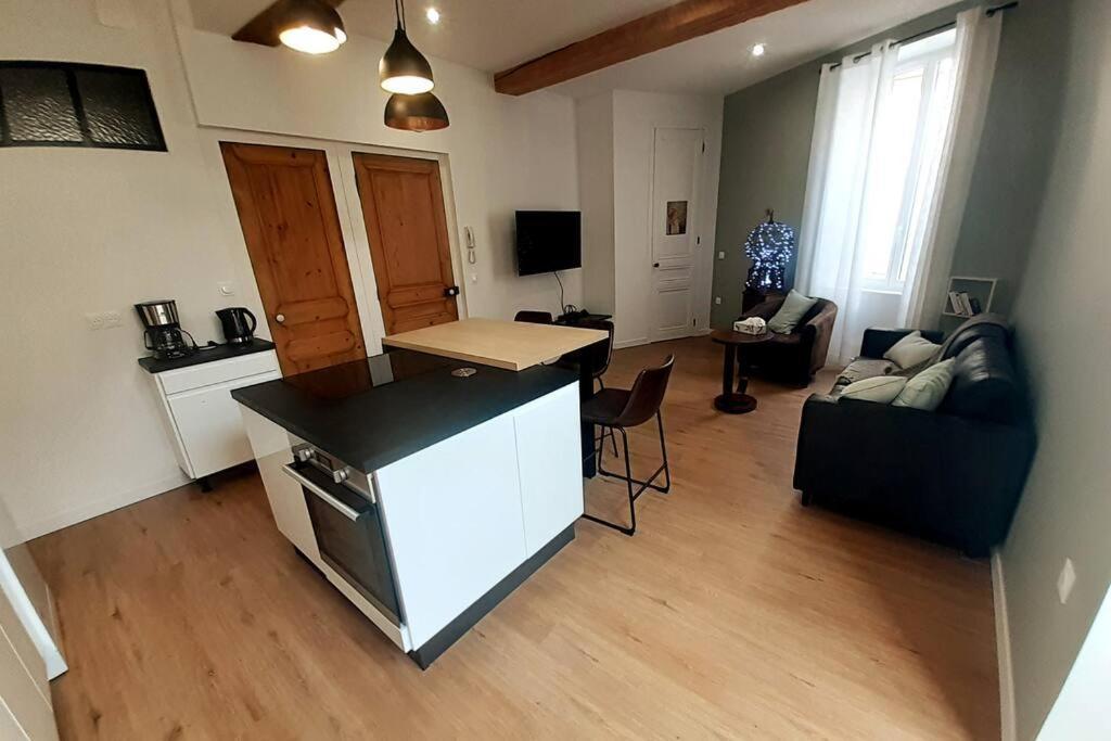 Classe 4 Etoiles - Cybele - Centre Ville 2 Chambres, Cour Privative Et Garage Вьен Экстерьер фото